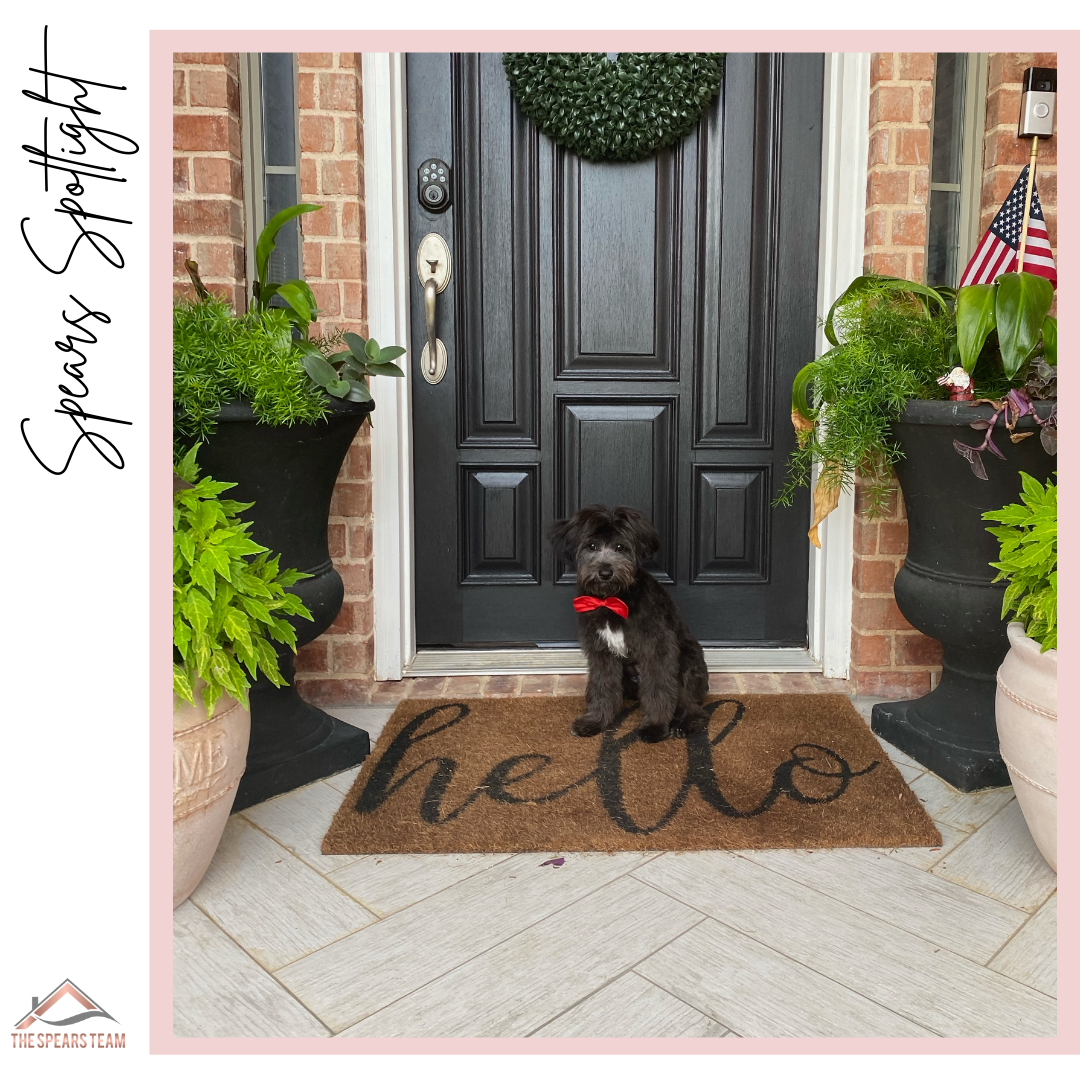 Grooming Services in Burleson Texas