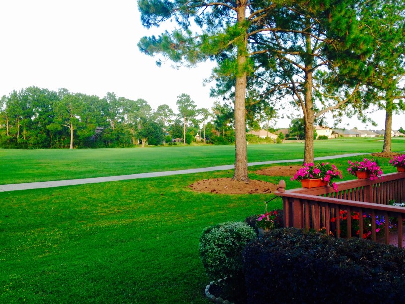 McCormick Woods Real Estate Homes for Sale in McCormick Woods, WA