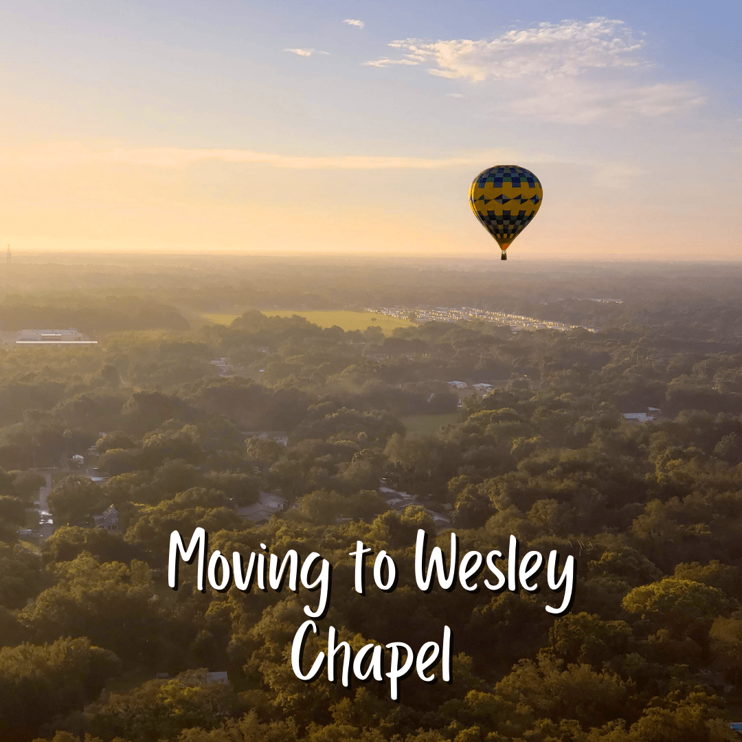 Moving to & Living in Wesley Chapel, FL (The Definitive Guide