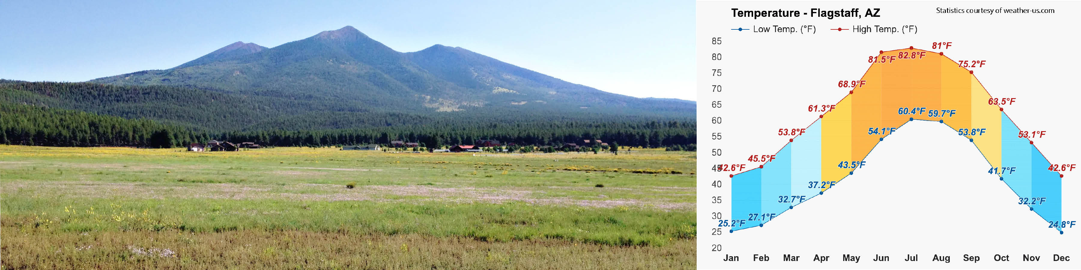 Fort Valley/Baderville AZ Homes for Sale Fort Valley/Baderville Real