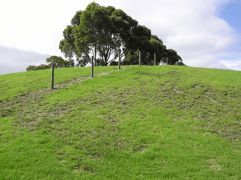 What to Know About Buying Vacant Land