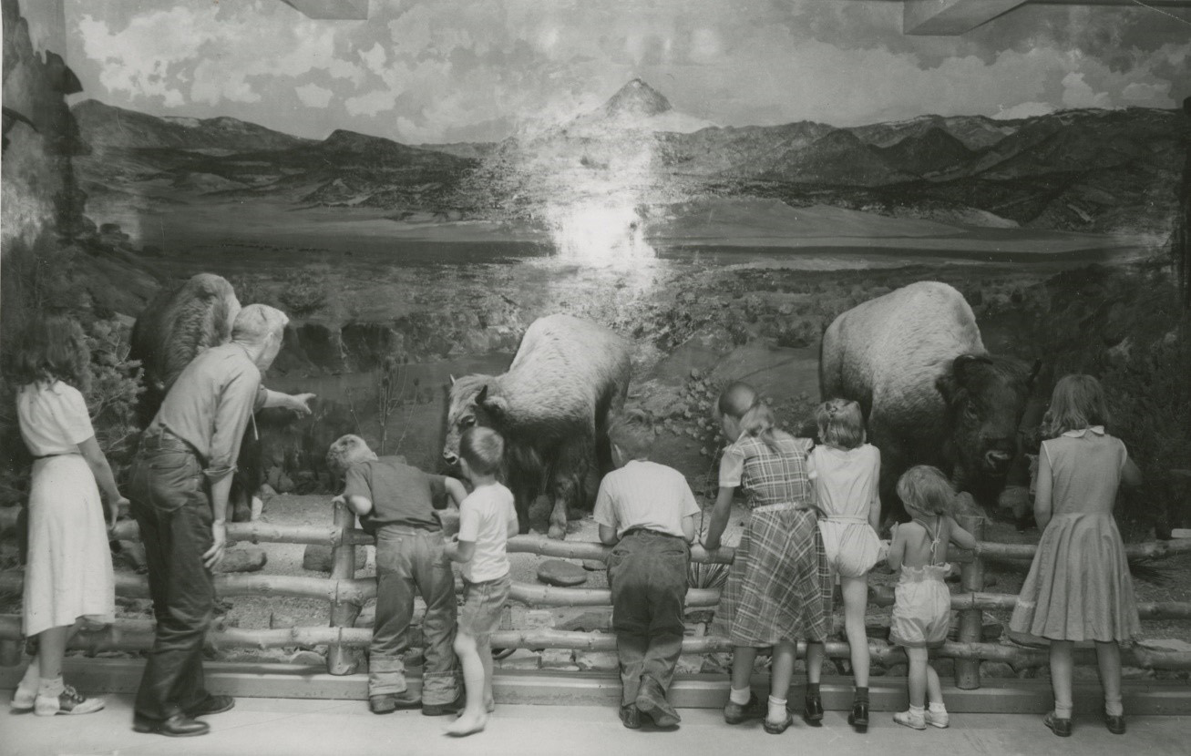 Last Buffalo in CO, Lost Park