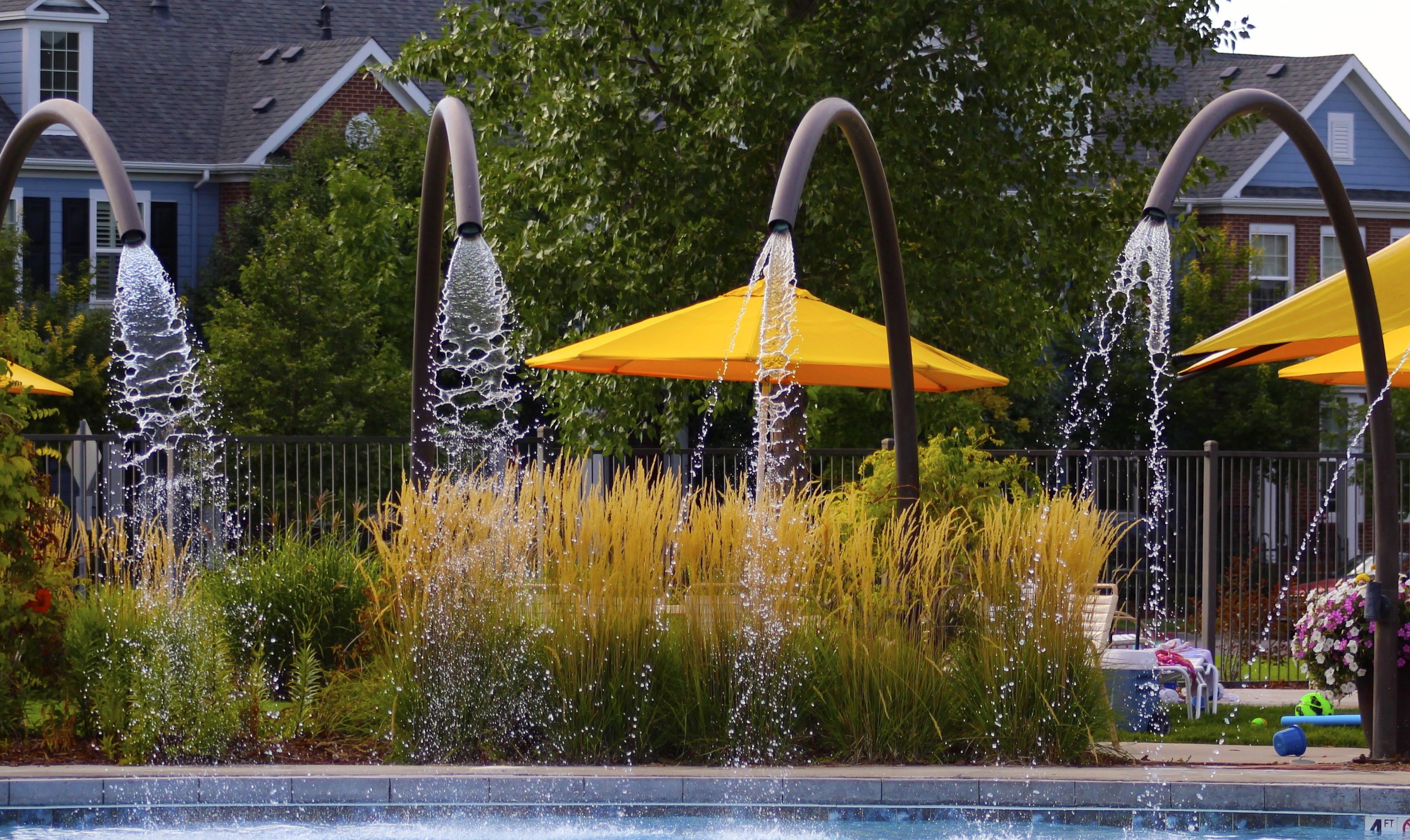 Things to do in Central Park this summer