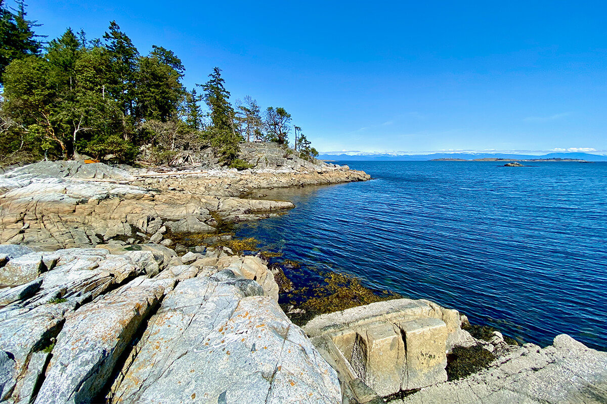 Fairwinds Golf Course Real Estate Homes for Sale in Fairwinds Golf