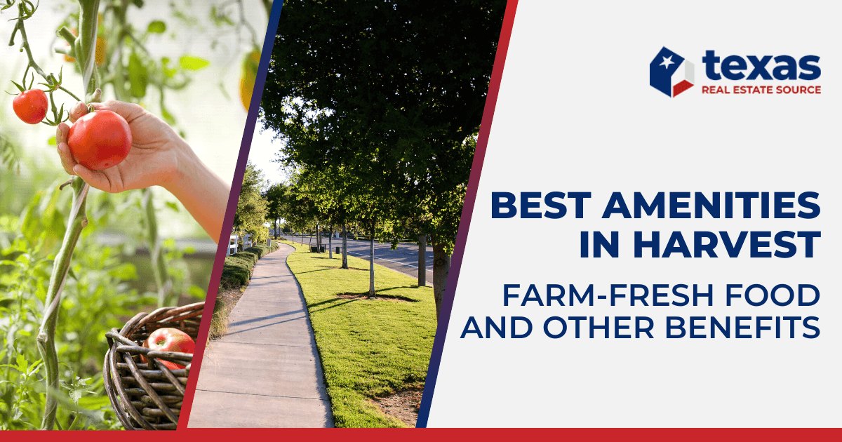 Harvest Homes For Sale Argyle Harvest Real Estate