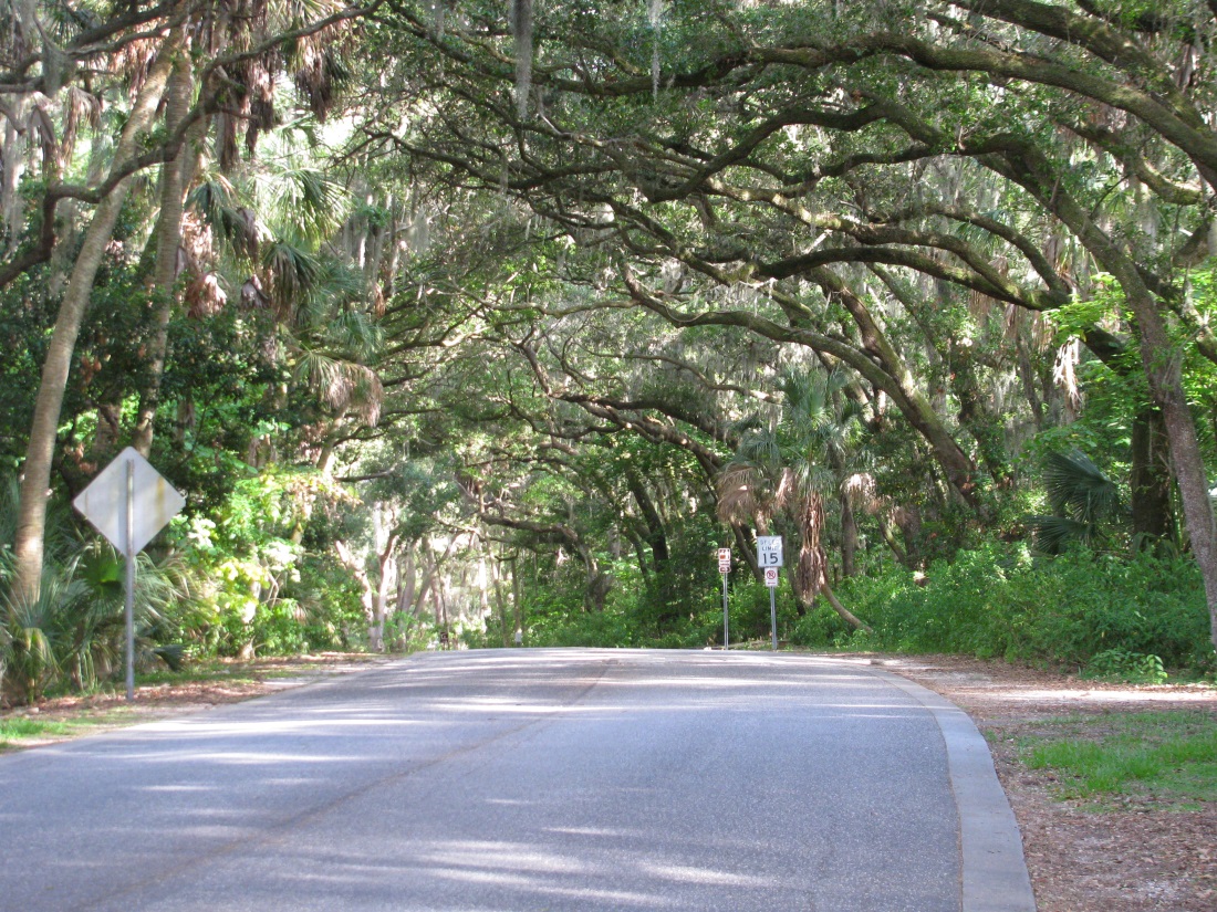 Safety Harbor Park and Beach Information