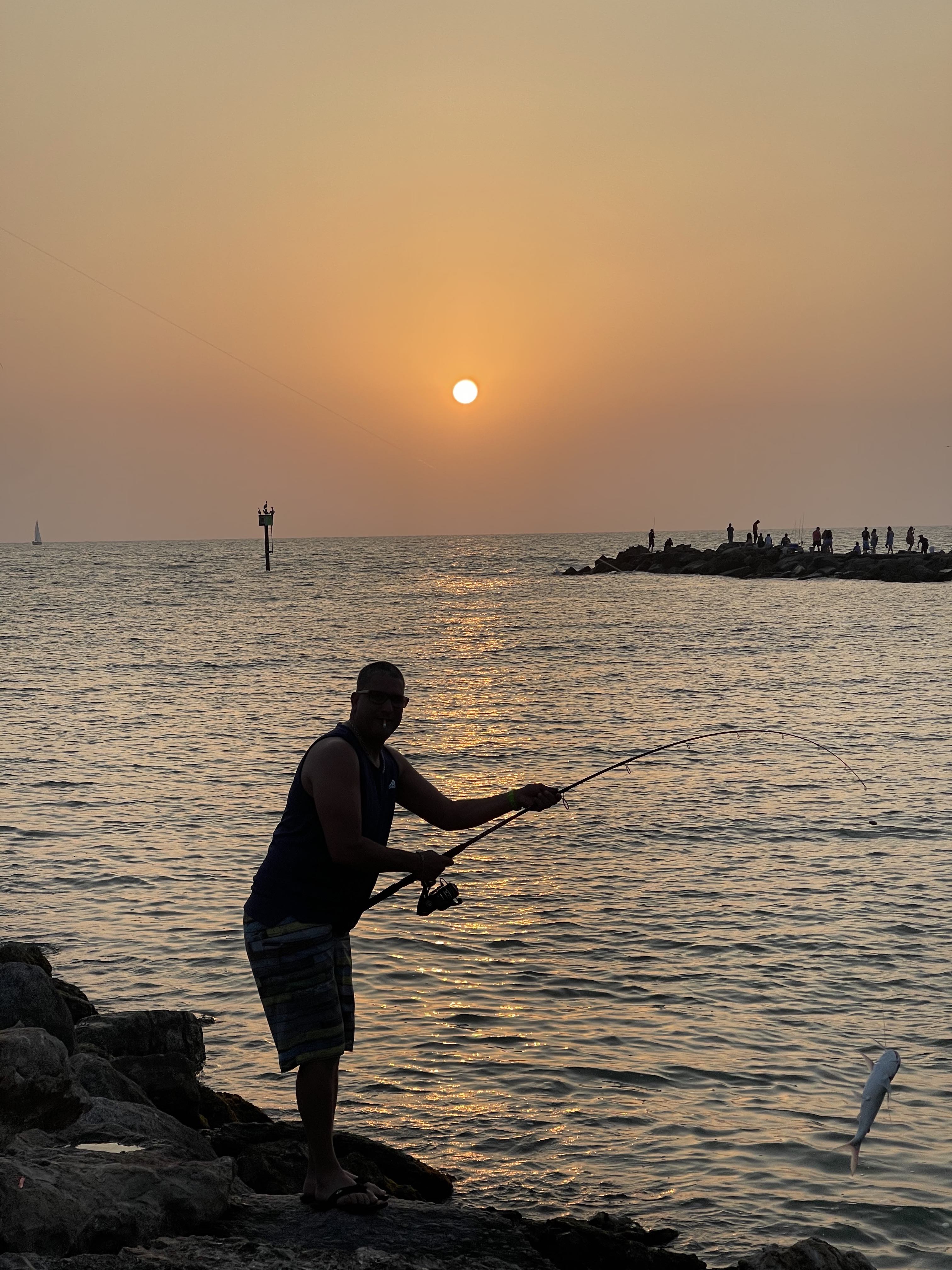 Do you need a fishing license in Sarasota County Florida