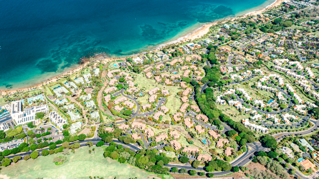 Wailea Ekahi Estate Homes for Sale in Palms at Wailea