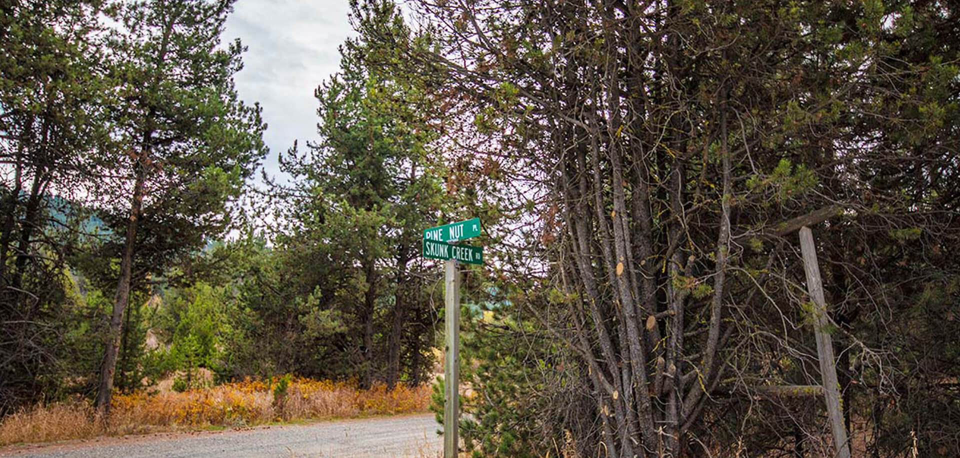 Tamarack View Subdivision Cascade ID 83611