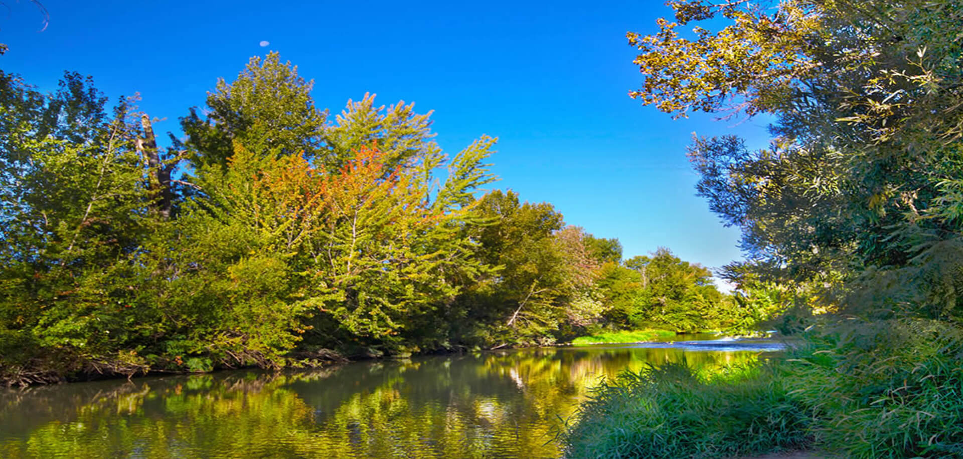 Whitehurst Estates Subdivision Eagle ID 83616