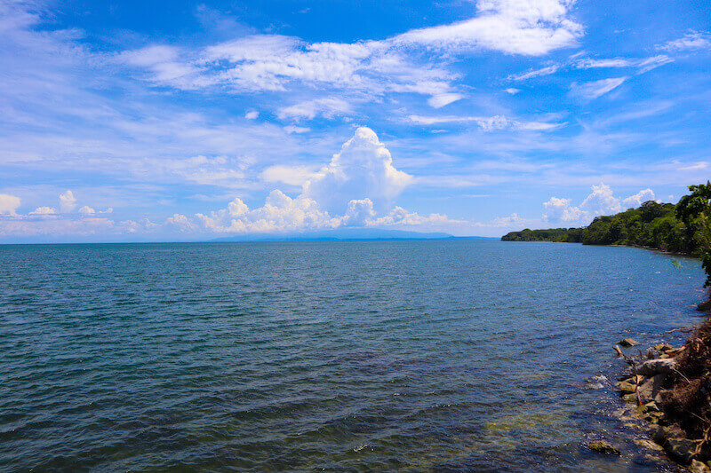 Oakville Parks 5 Parks in Oakville That Make Life Fun