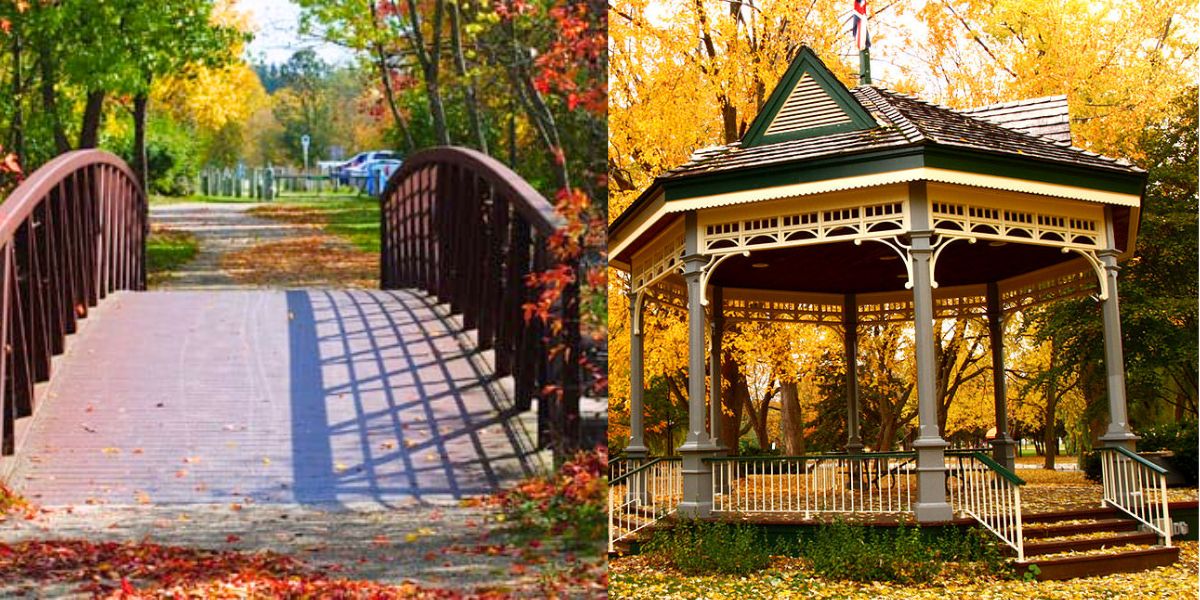 Exploring Kitchener Uncover Hidden Gems and Local Secrets