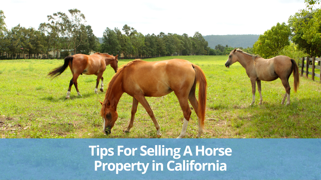 Tips For Selling A Horse Property in California