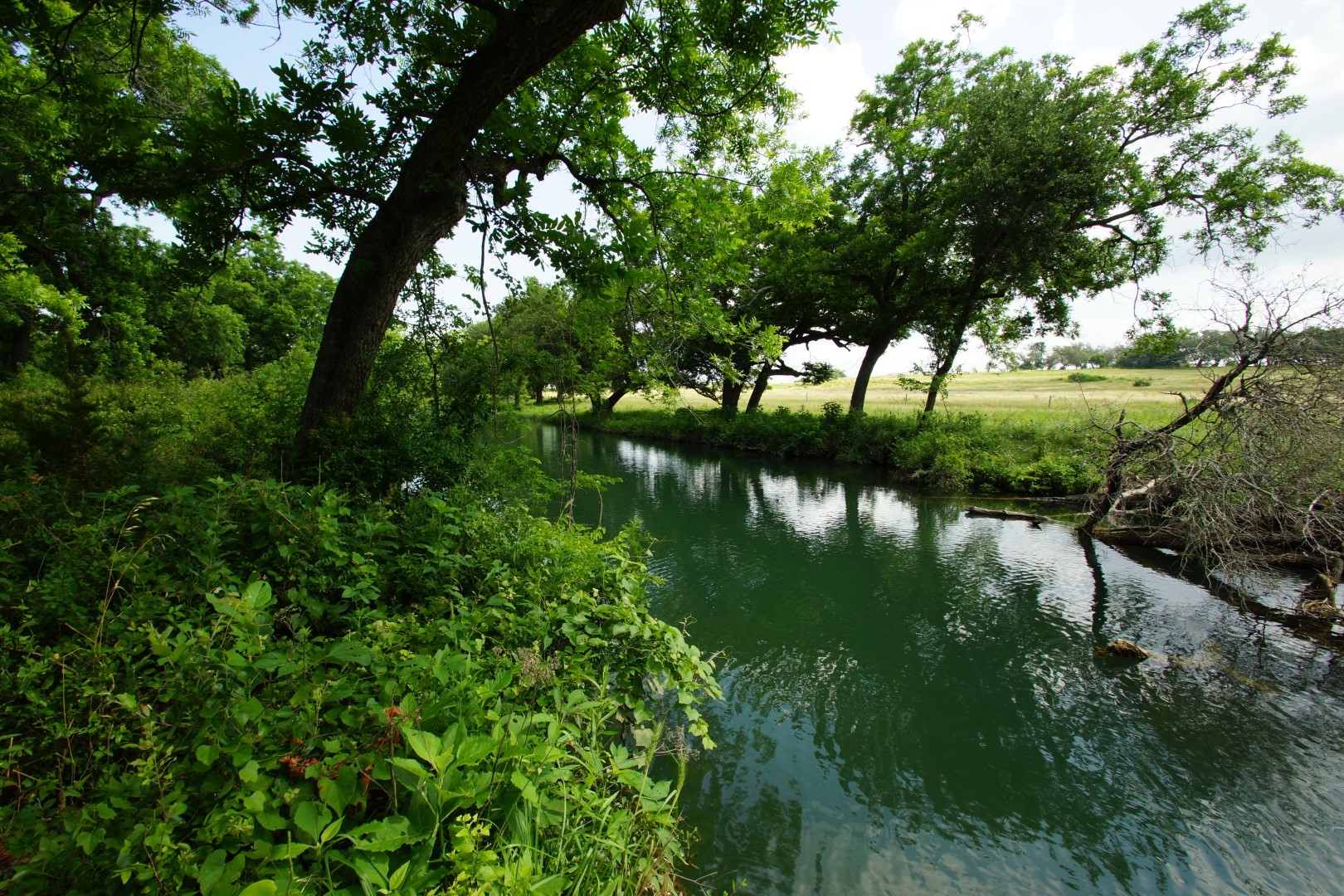 Liberty Hill, TX Land for Sale on Clear Creek Longhorn Realty