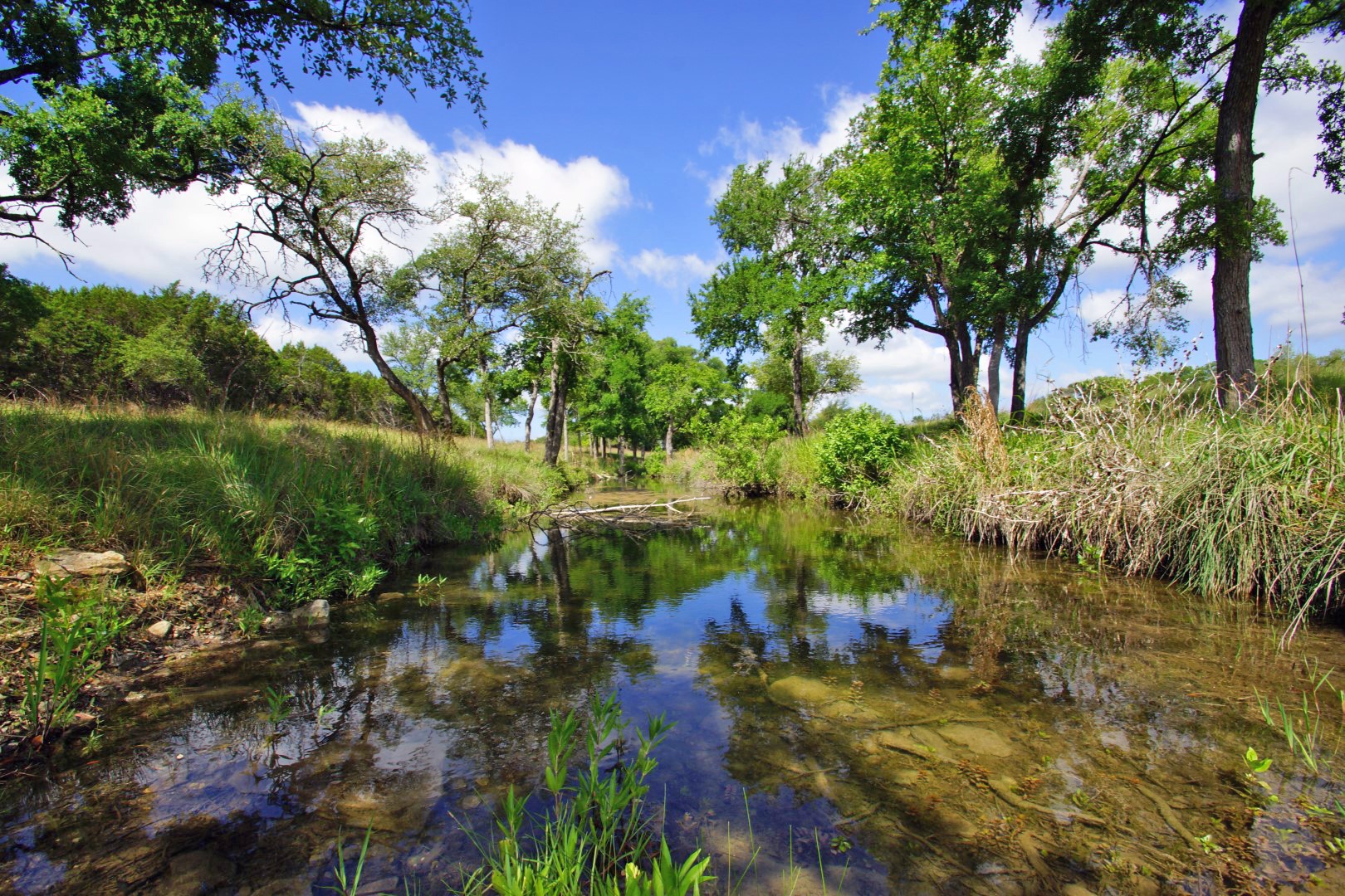 Hill Country Acreage Tracts in Briggs, County Longhorn Realty