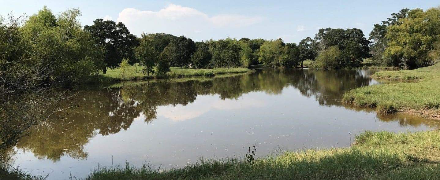 Thorndale Land for Sale in Milam County Longhorn Realty