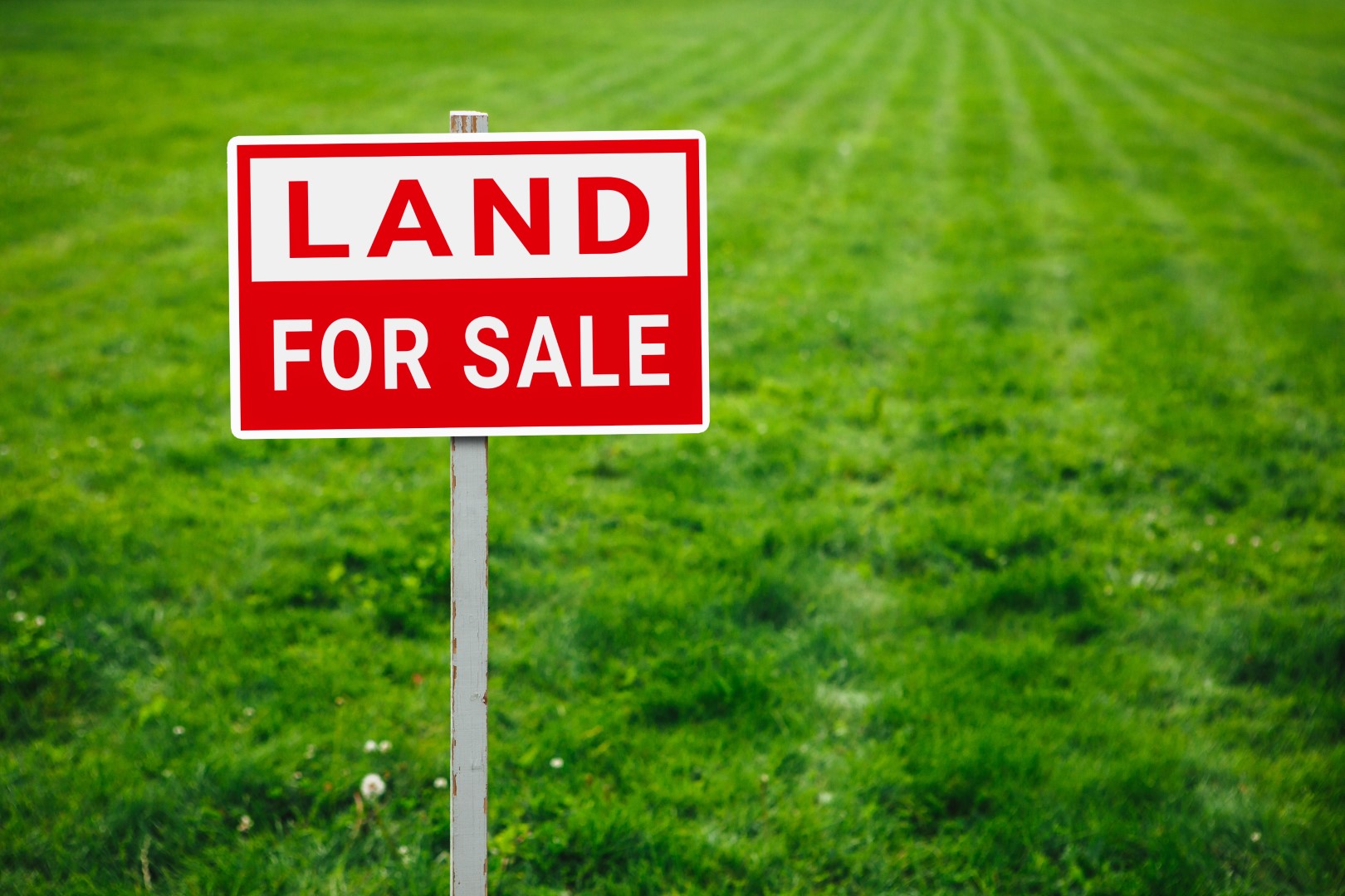 Selling Real Estate with a Texas Land Realtor Longhorn Realty
