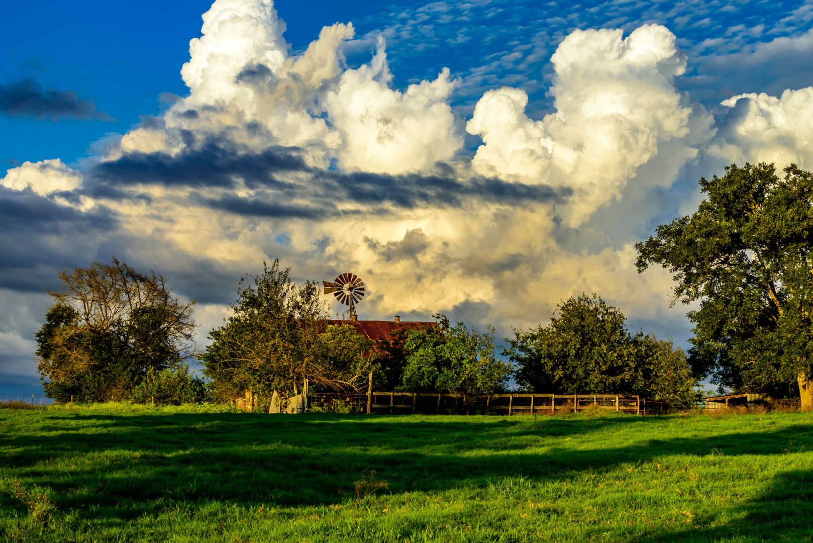 Types of Texas Farms and Ranches that Offer Longhorn Realty
