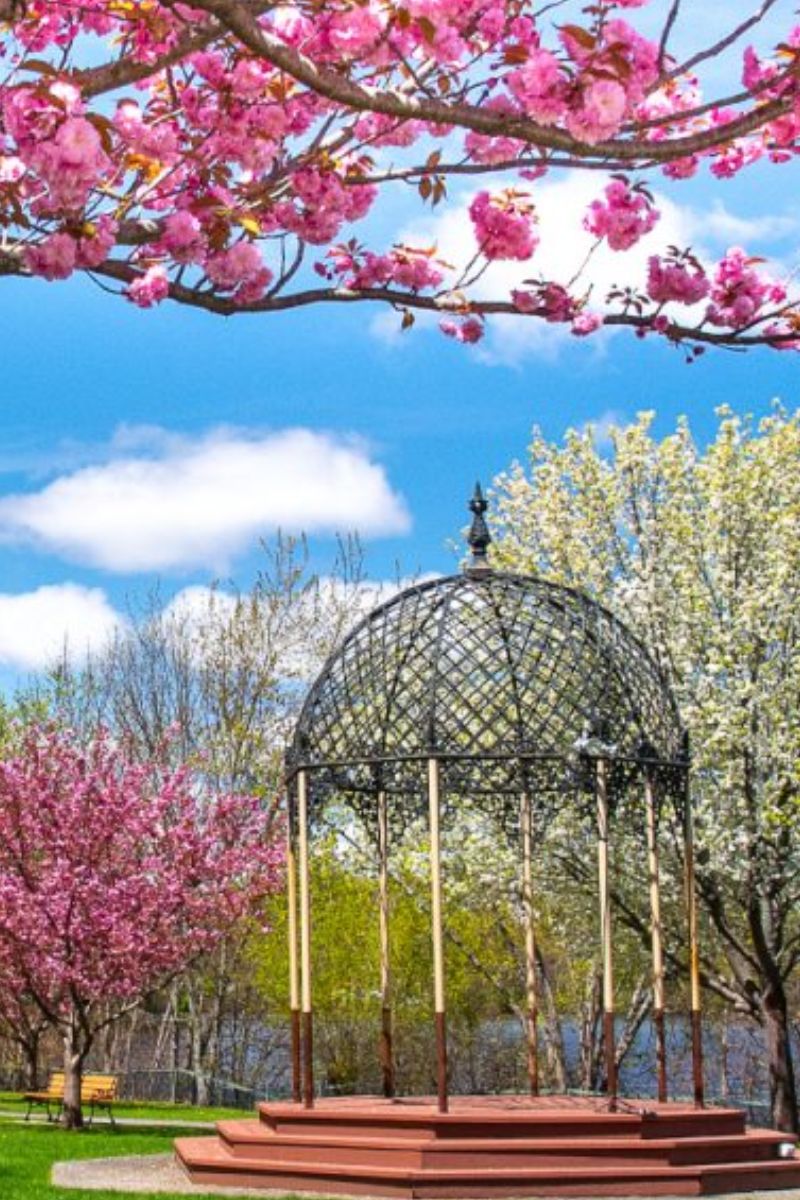 Melrose Real Estate Homes for Sale in Melrose