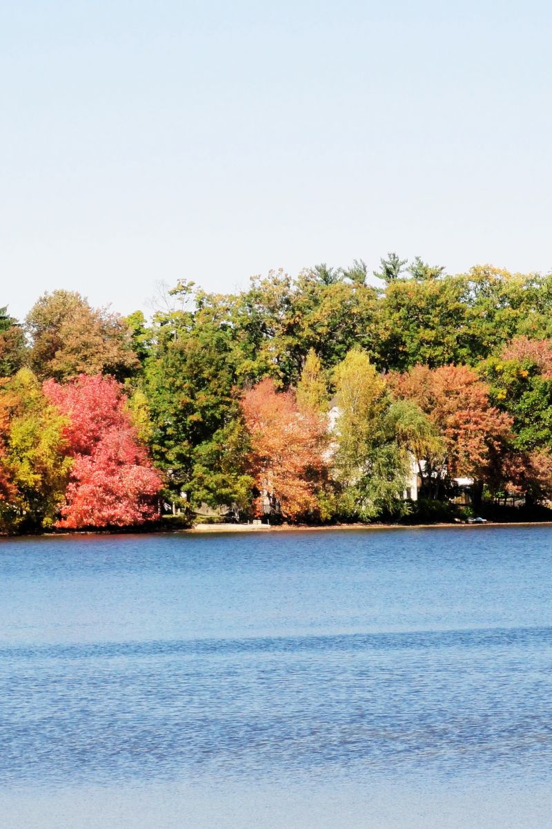 Wilmington Real Estate Homes for Sale in Wilmington