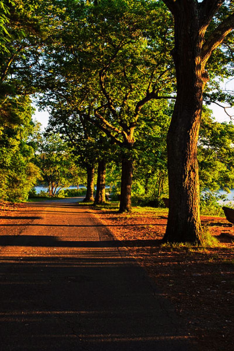 Woburn Real Estate Homes for Sale in Woburn