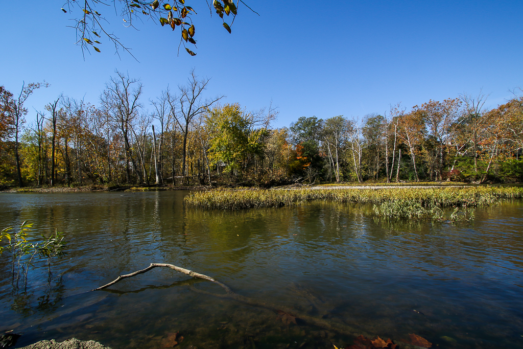 Let's have fun in Dublin