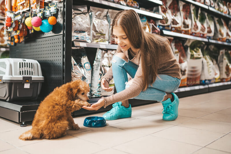 Best Dog Parks San Diego DogFriendly Places in San Diego