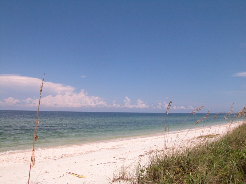 Bay Tree Club Condos For Sale on Siesta Key Sarasota FL Real Estate