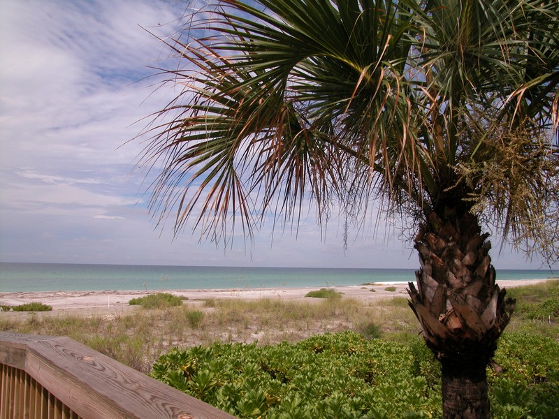 En Provence Condos For Sale on Longboat Key Sarasota FL Real Estate