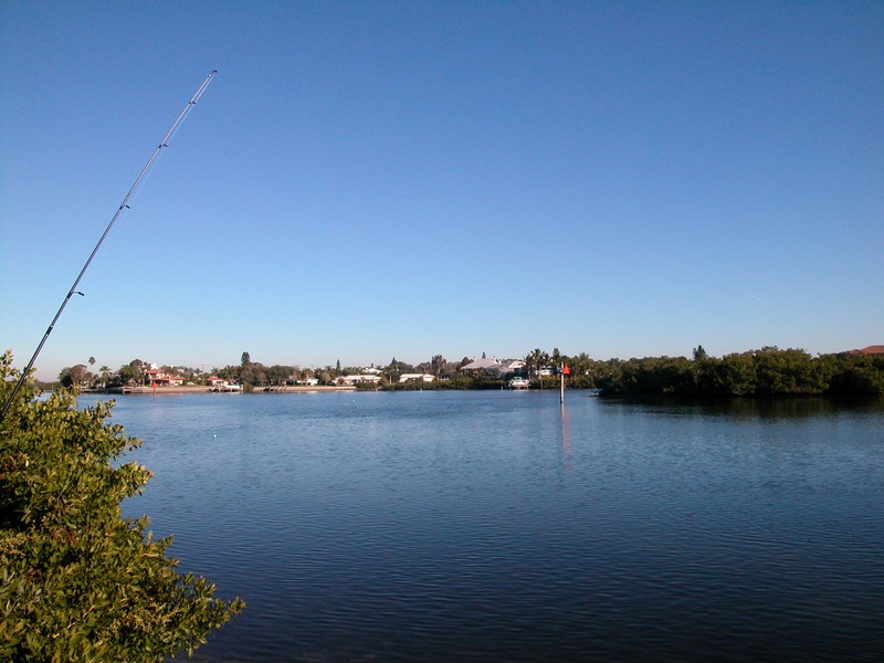 Excelsior Condos For Sale on Siesta Key Sarasota FL Real Estate