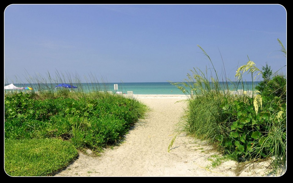 Sand Cay Condos For Sale on Longboat Key Sarasota FL Real Estate