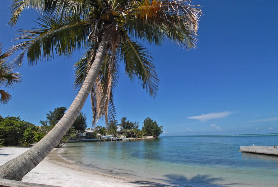 Sandy Cove Condos For Sale on Siesta Key Sarasota FL Real Estate