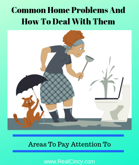 Common Home Problems And How To Deal With Them