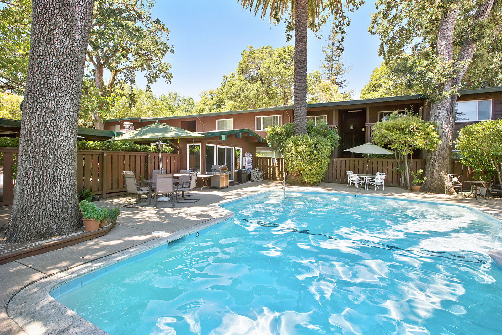 84 Madrone Ave. San Anselmo, ground level FOR SALE & open Sunday!