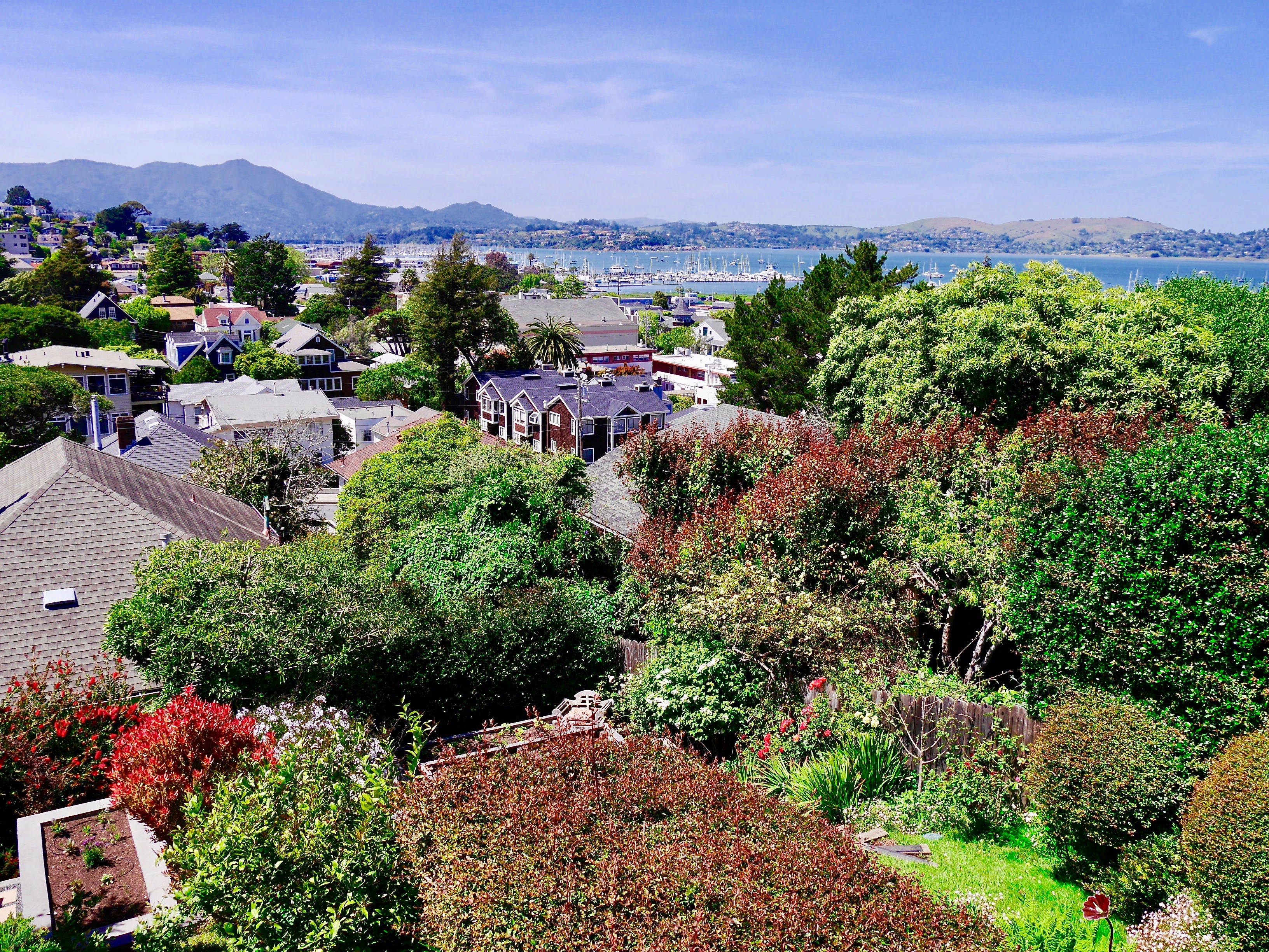 227 San Carlos Avenue Sausalito CA 94965 Dream Home!
