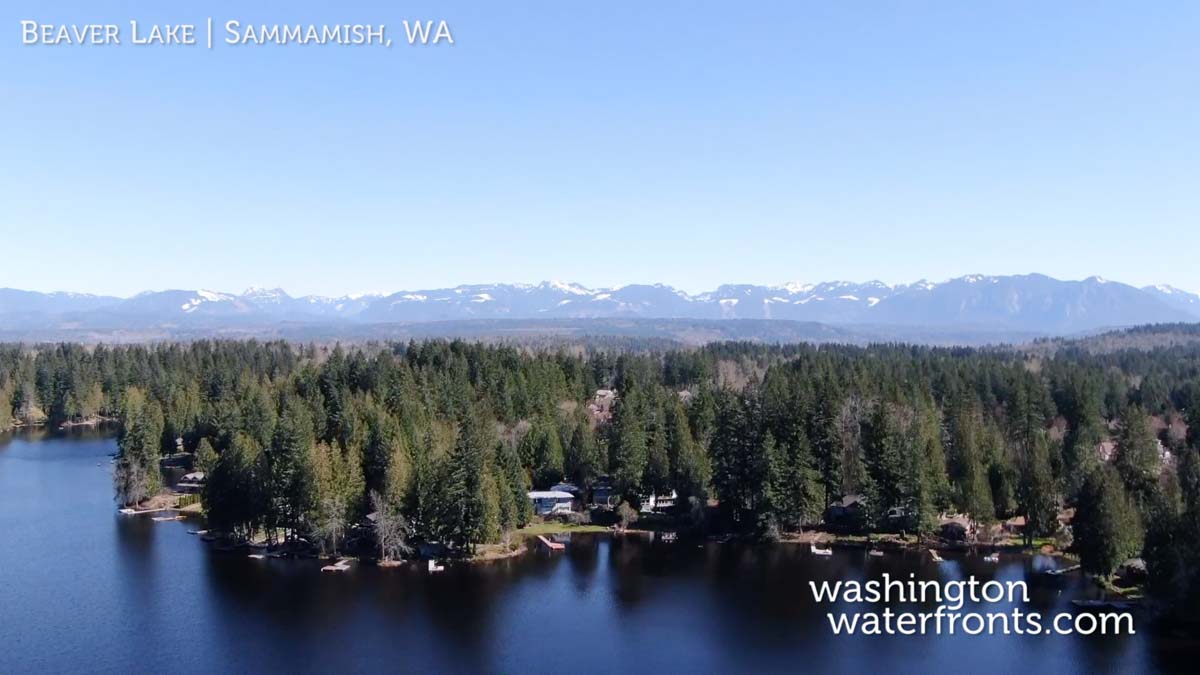 Beaver Lake Waterfront Homes in Sammamish, WA (Local Waterfront