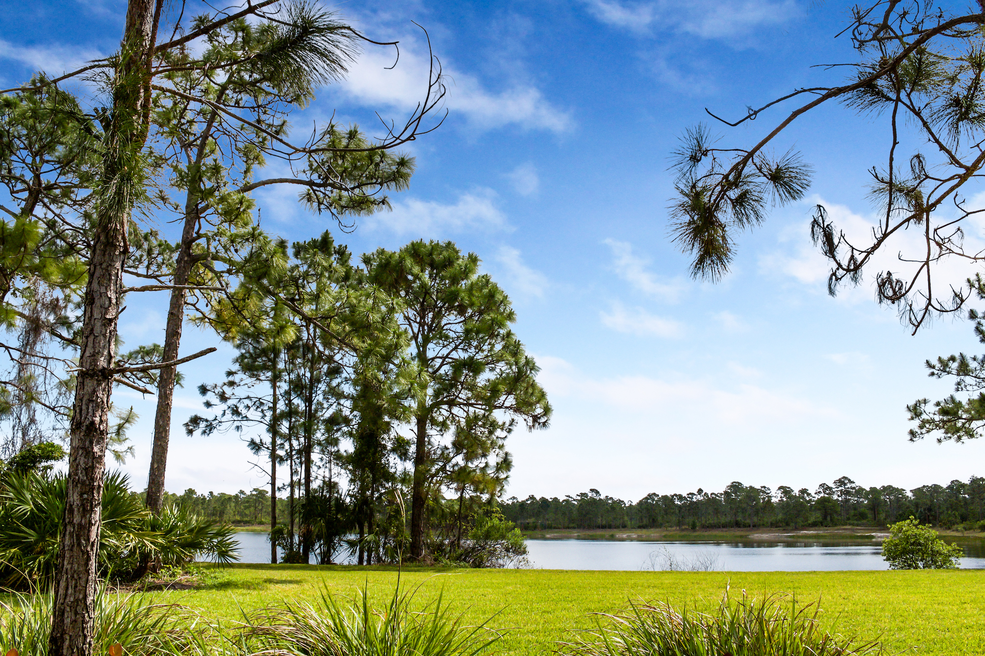 Palm Beach County Golf Courses & Communities