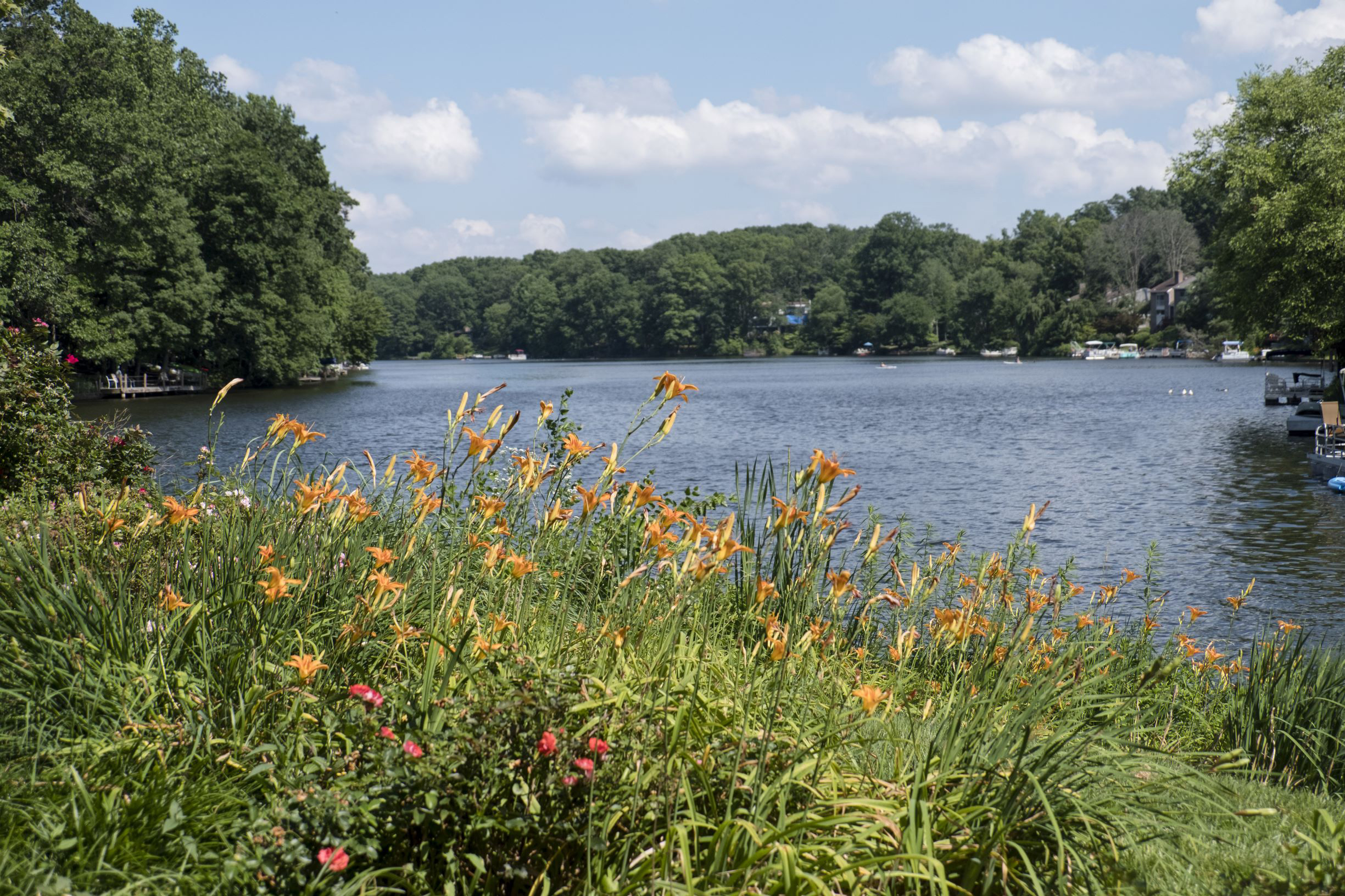 Reston Real Estate Homes for Sale in Reston