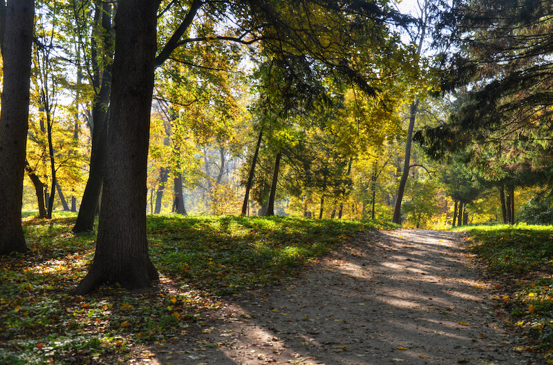 Del Ray Homes For Sale Alexandria Del Ray Real Estate