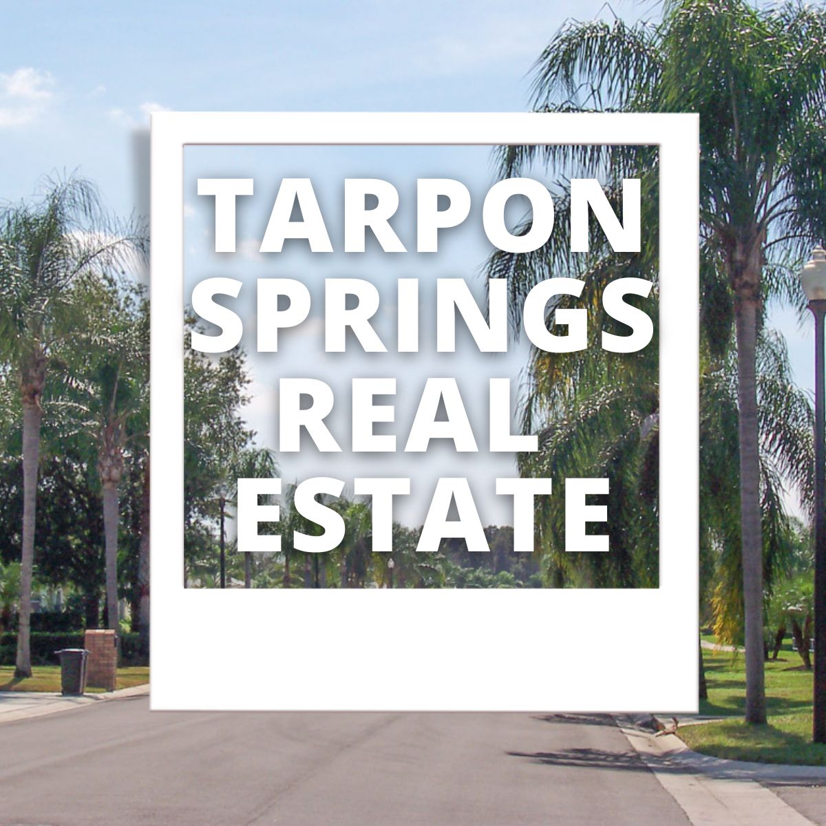 Tarpon Springs Florida Real Estate