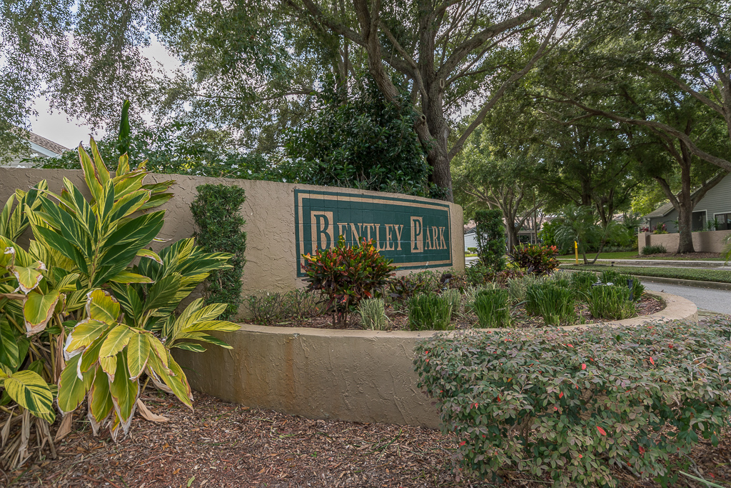 Bentley Park of Palm Harbor Hamlets, Estates, Village View Listings