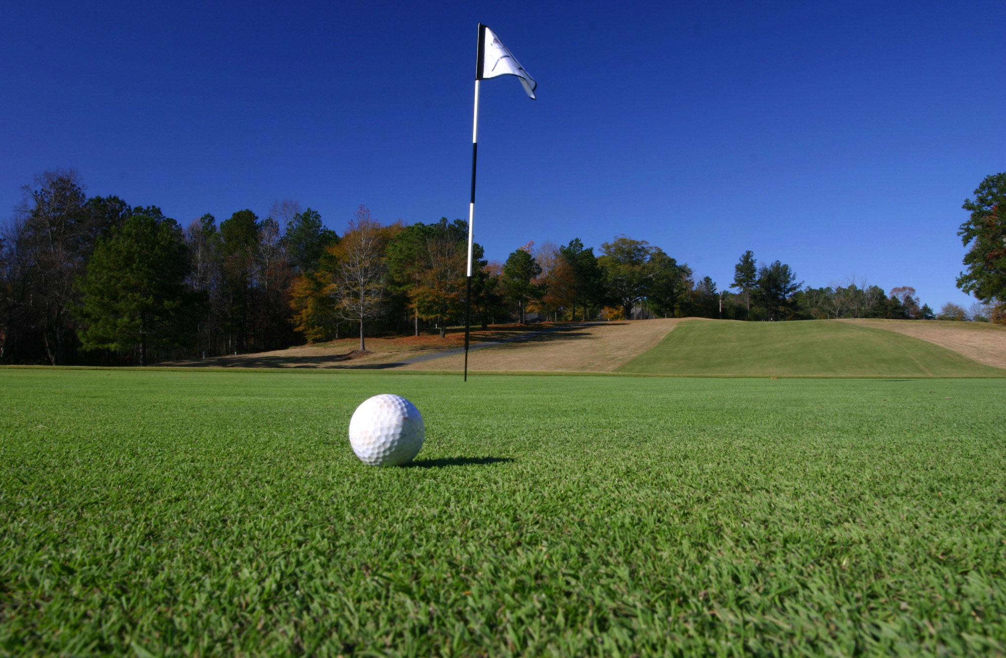 Golf Course Communities in Palm Harbor Golf Front Properties