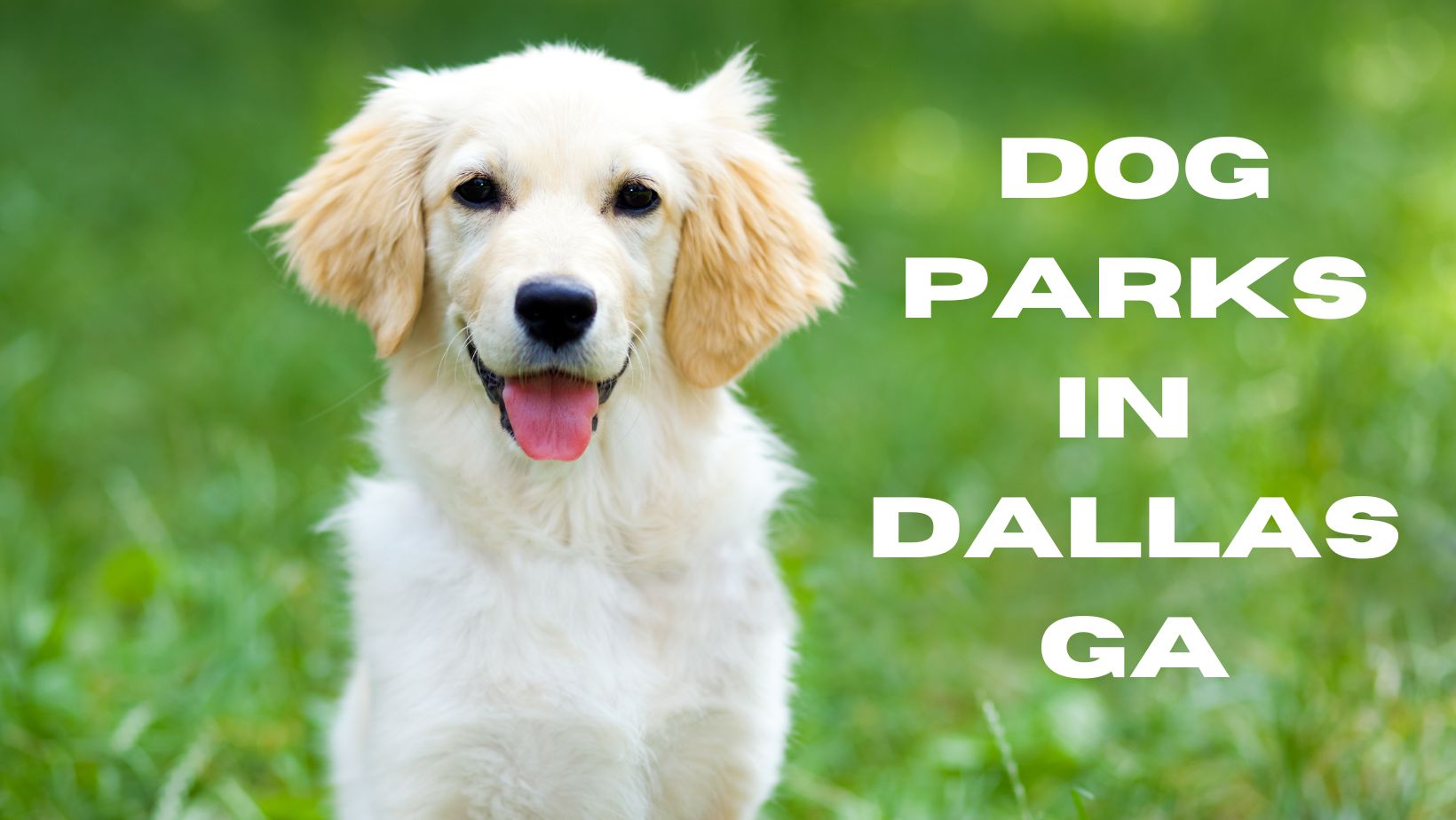 Dog Parks in Dallas GA