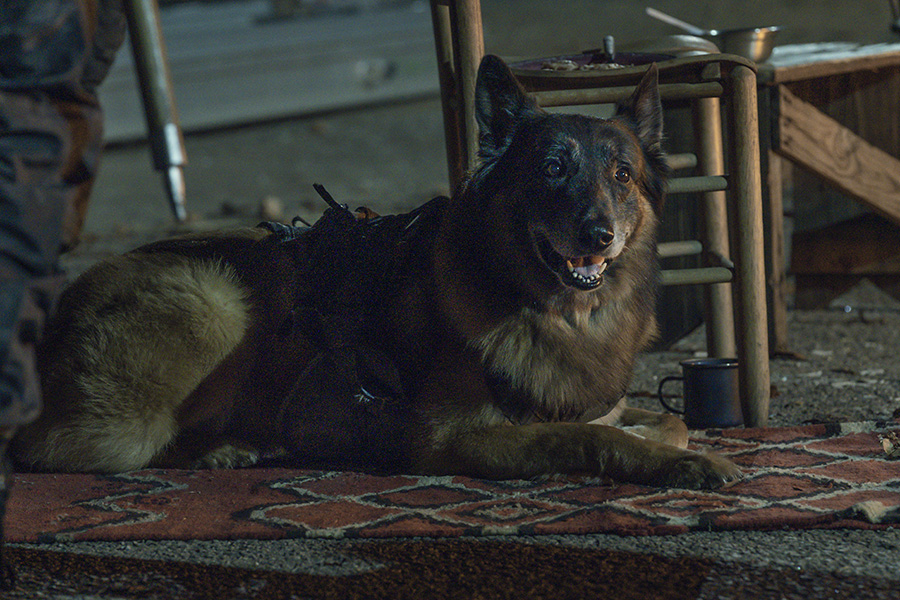 The Walking Dead Season 11 Episode 04 Discussion Skybound Entertainment