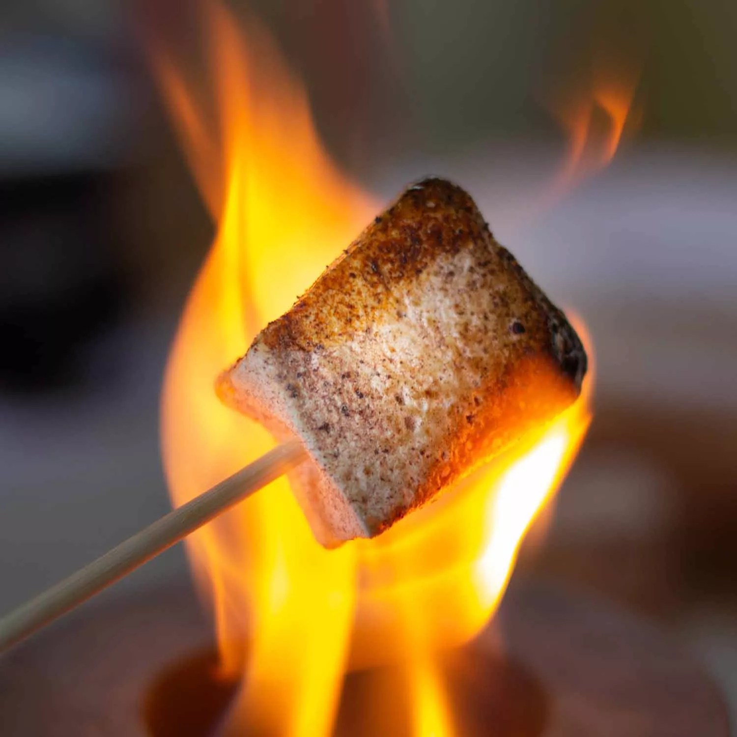 Mojave Mallows Assorted Gourmet Marshmallows Sur La Table