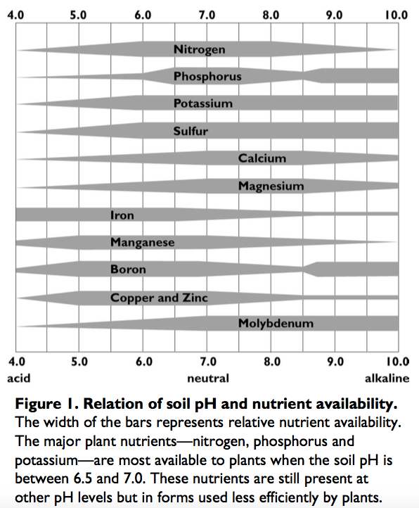 Got Low pH? Adjust Soil for Corn Production Golden Harvest