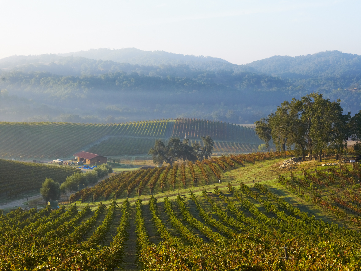 Wine Enthusiast The Best Wineries (and More) to Visit… Tablas Creek