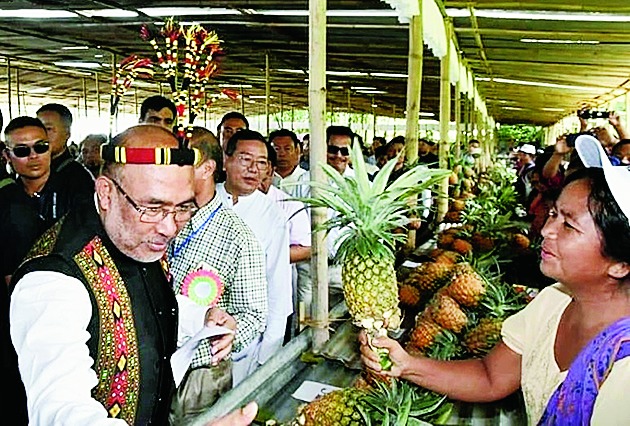 pineapple festival 2023 manipur Manipur hosts pineapple fest Telegraph India