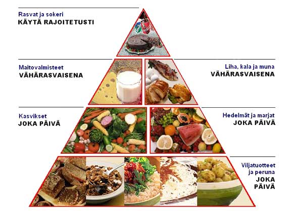 Näin Suunnittelet Ruokavaliosi | Terve.fi