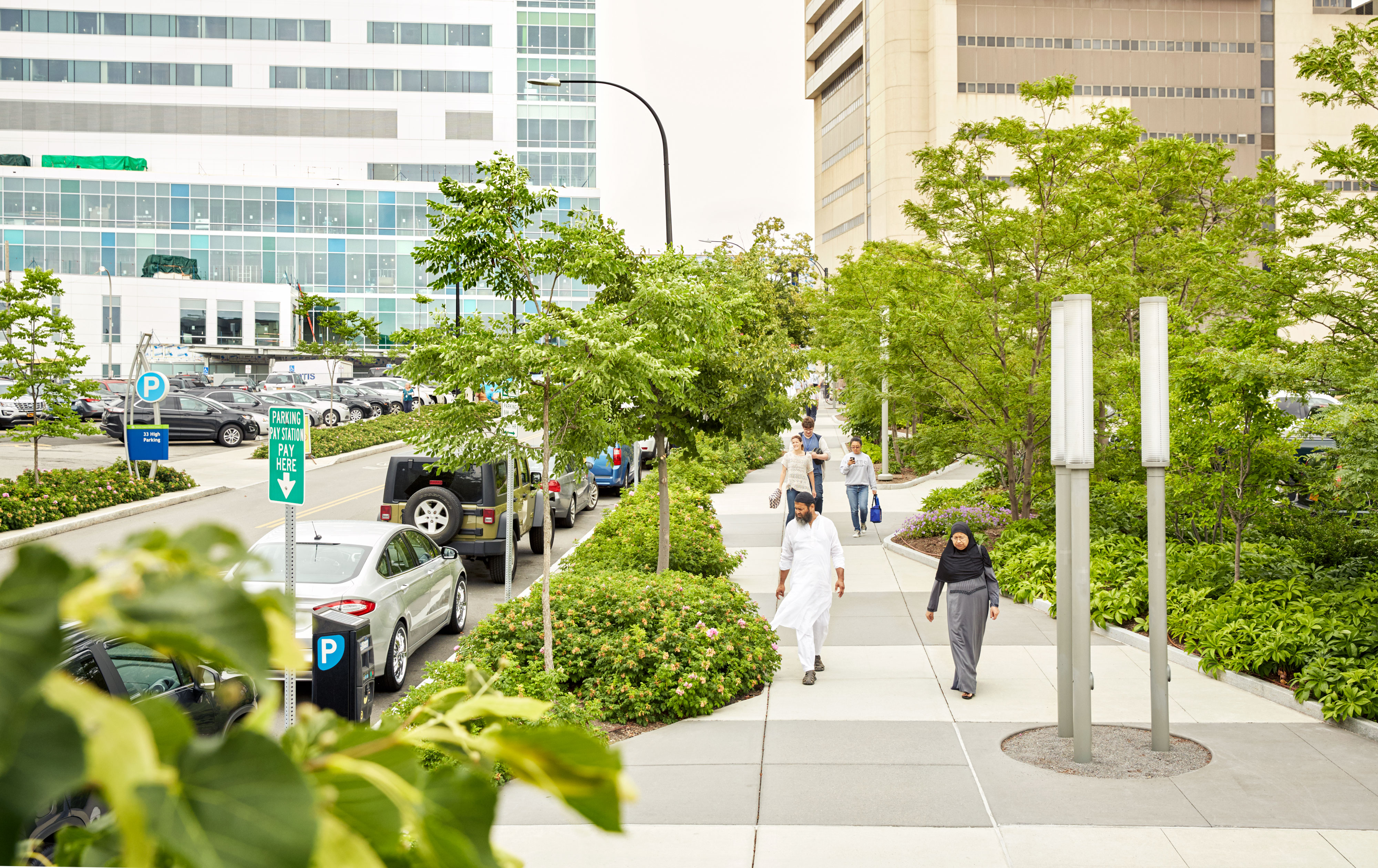 Creating a linear forestinthecity to combat urban heat island effect